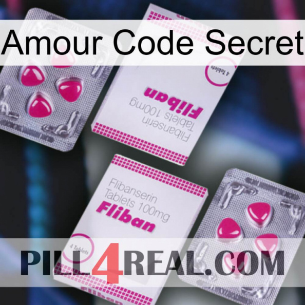 Love Secret Code 33